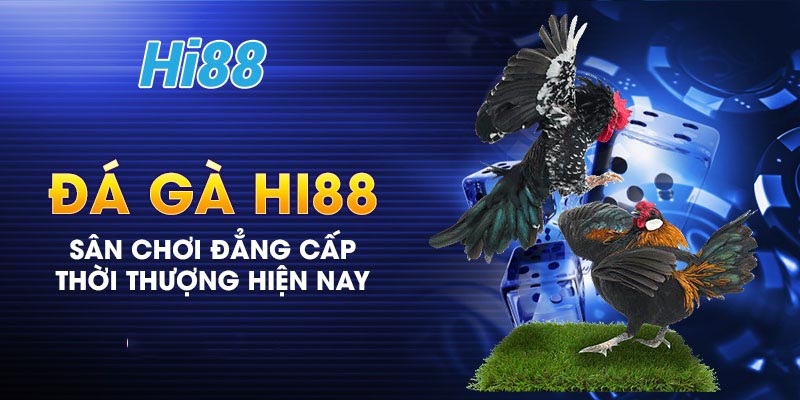 Bạn đã sẵn sàng tận hưởng giây phút kịch tính, gay cấn từng giây phút từ những chú “chiến kê” tại Hi88?