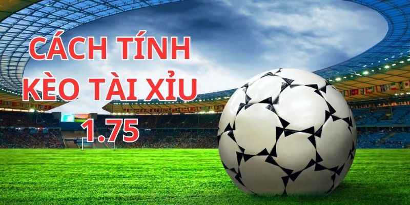 Cách đọc kèo Tài Xỉu 1.75 chuẩn xác nhất